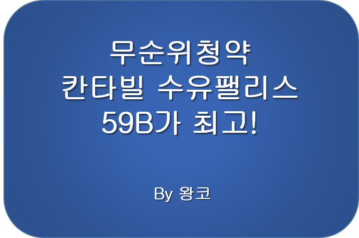  무순위 줍줍 칸타빌 수유팰리스 59B 추천