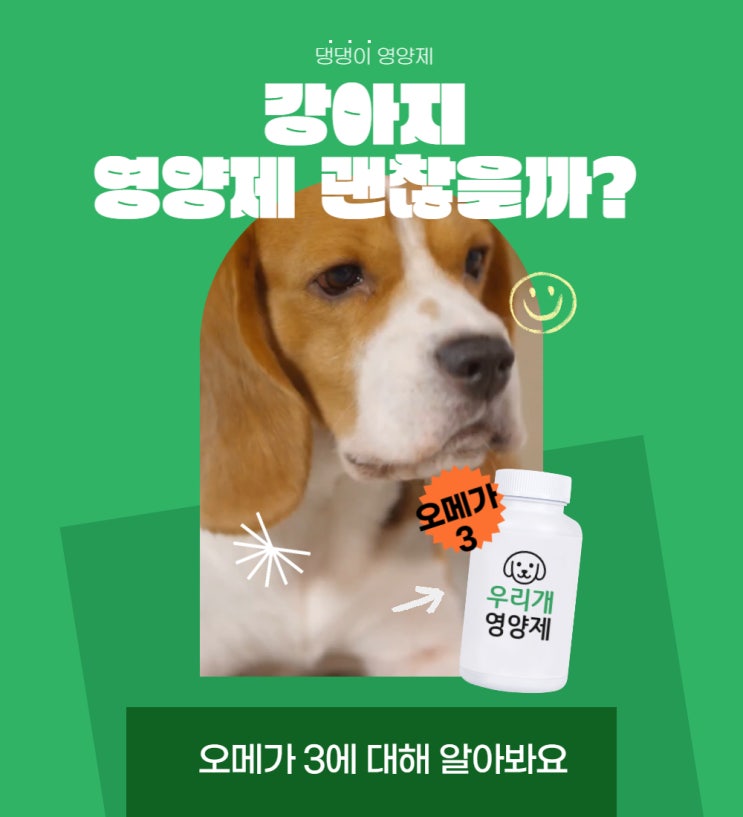  강아지 오메가 3 영양제로 꼭 먹여야 할까요?
