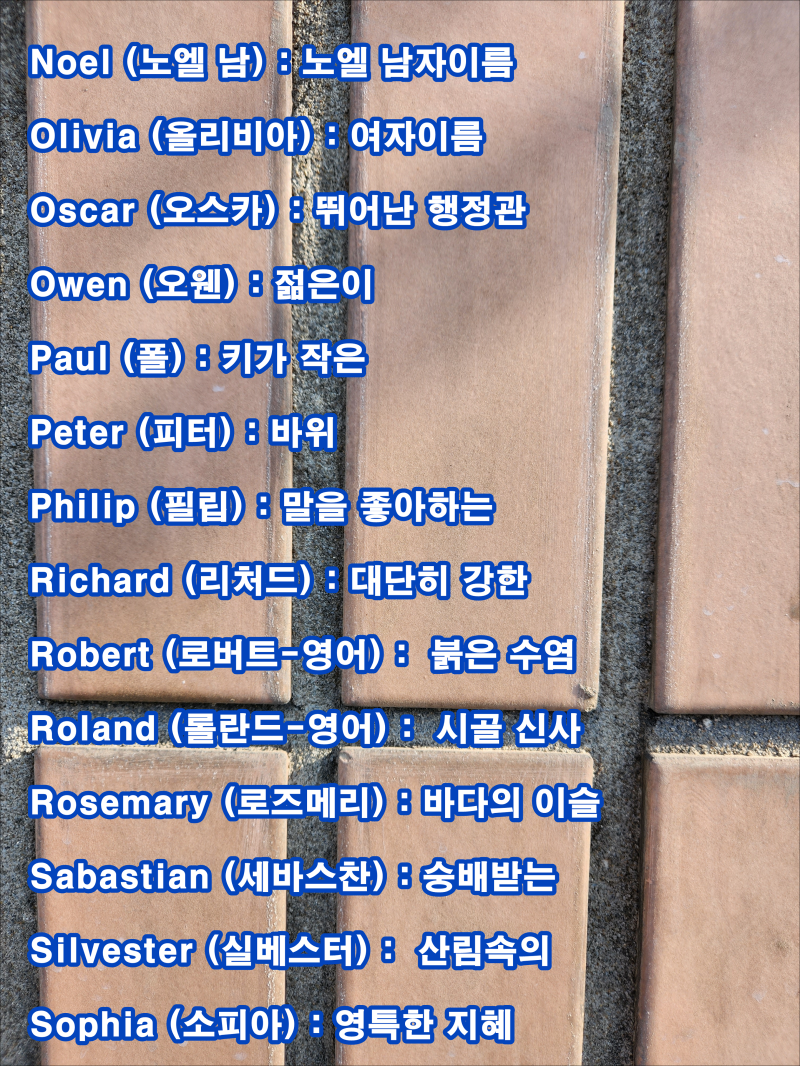 예쁜 영어 닉네임 추천 127개를 뜻과 함께 소개합니다. : 네이버 블로그