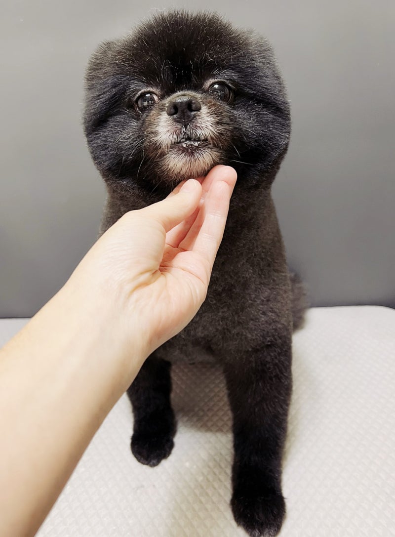 사진 6
