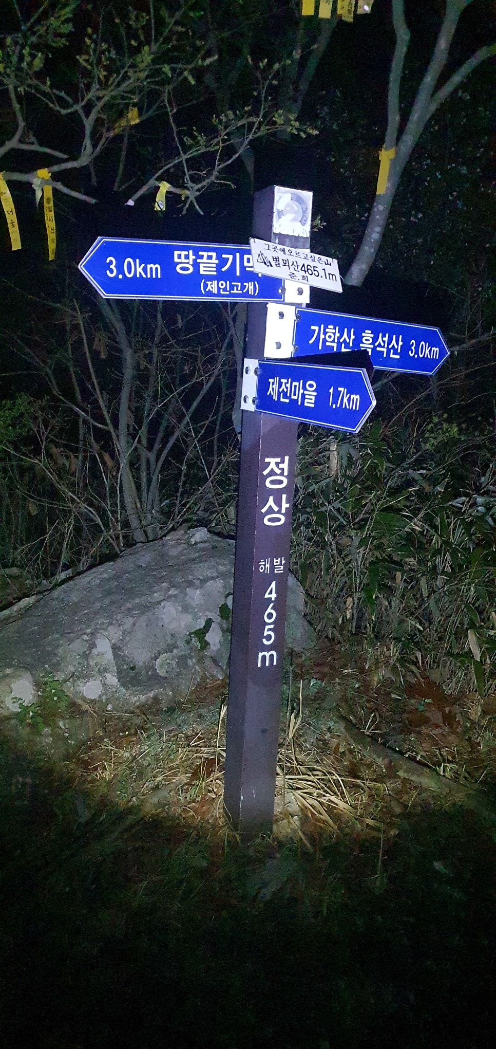 오소 사진 4