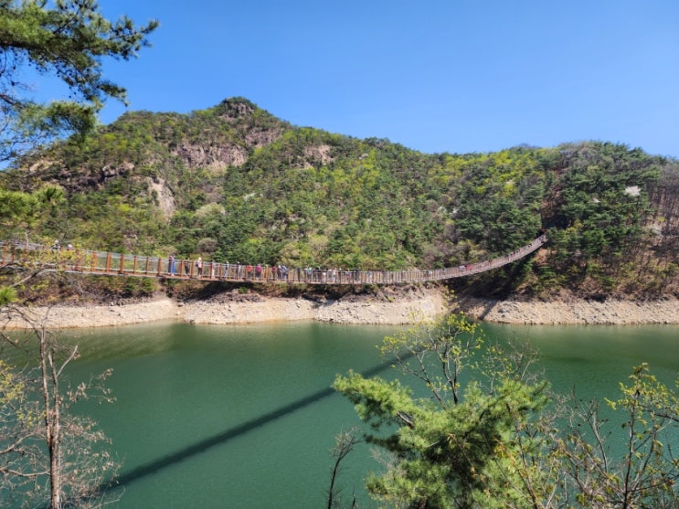  충주 제천 옥순봉출렁다리 (단양팔경)