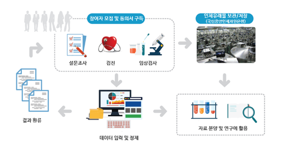 한국인유전체역학조사사업(KoGES) 동일집단(코호트) 2023년 추적조사 실시(4.10.월) 한국인유전체역학조사사업(KoGES) 동일집단(코호트) 2023년 추적조사 실시(4.10.월)
