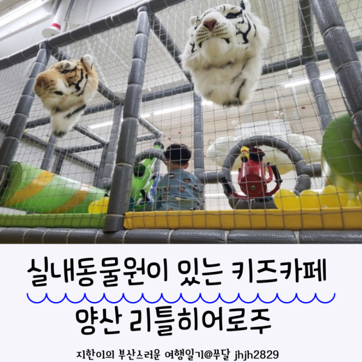  실내동물원이 있는 양산리틀히어로주 키즈카페