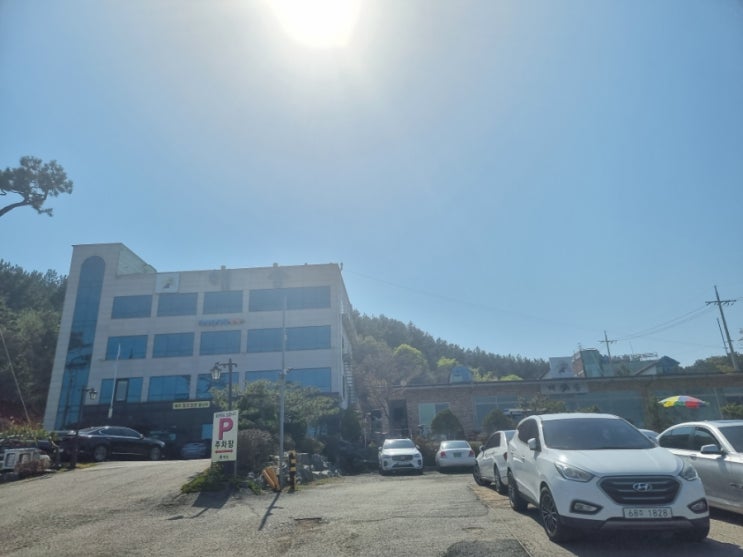  인천 영종도 대형식당 해송쌈밥