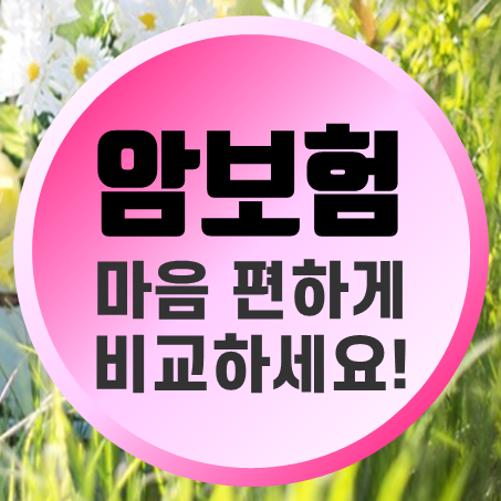  온라인 암보험 추천 100세 만기 보장성암보험 가격 얼마인지 셀프로 비교할 수 있어요.