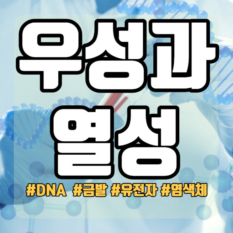  중3 과학 우성과 열성 유전자와 유전 방식