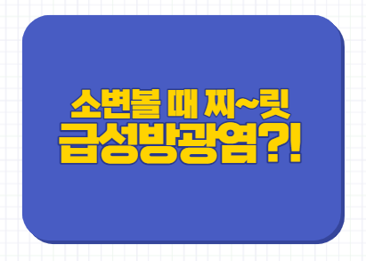  소변 볼 때 찌릿 급성 방광염 원인 혈뇨 증상 약