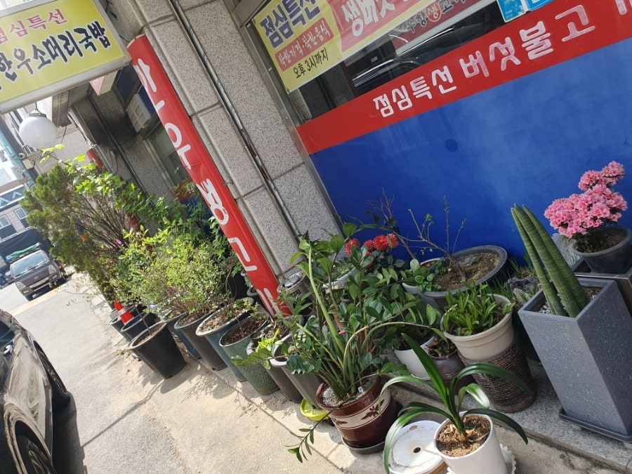우향생고기 사진 2