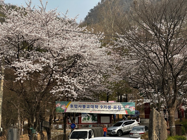 서울 호암산 백패킹 박지 탐방(2023.04.01)