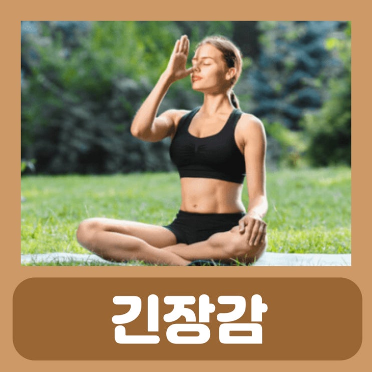  청심환 복용후기 우황청심환 효능 천왕보심단 안정액 : 긴장 푸는법 긴장완화제