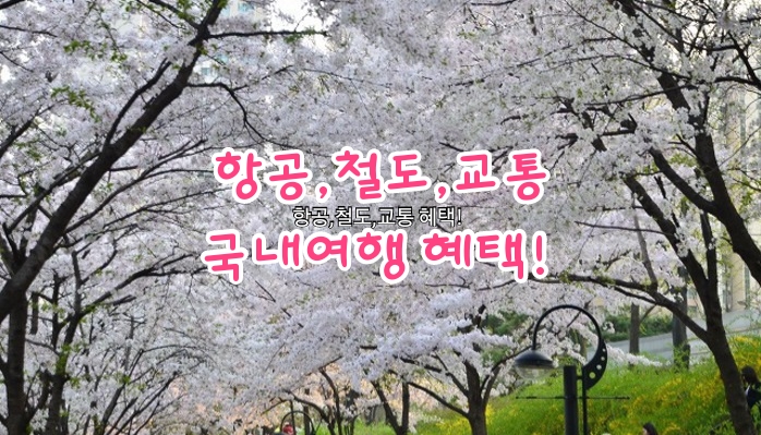 항공,철도,교통 국내여행 혜택! 항공,철도,교통 국내여행 혜택!