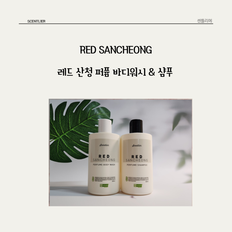  산딸기의 상큼한 향이 하루종일 지속되는 센틀리에 * 레드산청 바디워시 & 샴푸