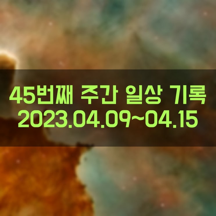 45. 주간 일상 기록 (2023년 4월 9일(일) ~ 4월 15일(토))