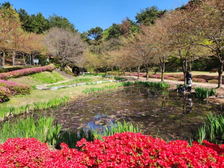  울산 올챙이 볼수있는 화동못수변공원