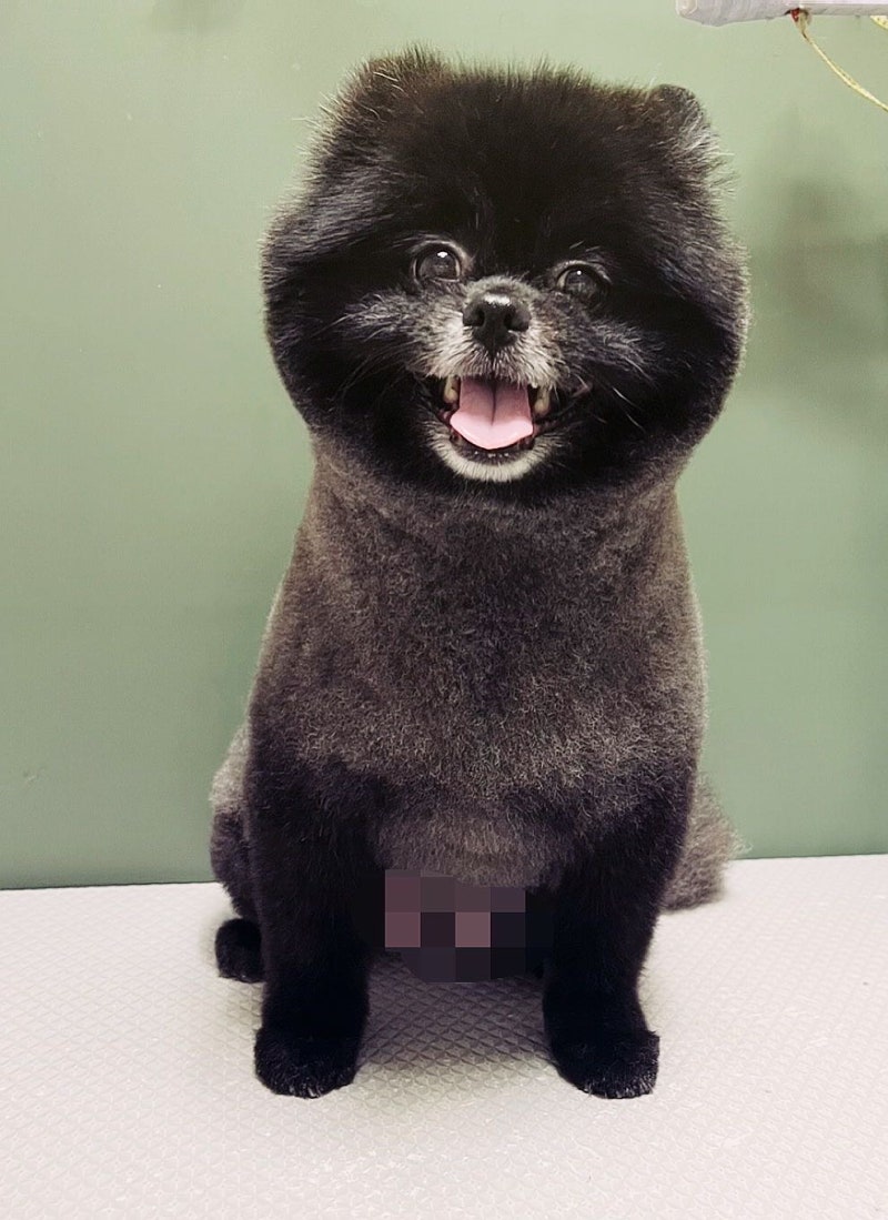 사진 5