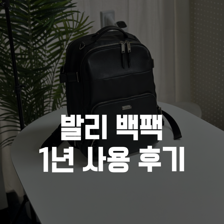  발리 백팩, 17인치 노트북 가방 1년 사용 후기