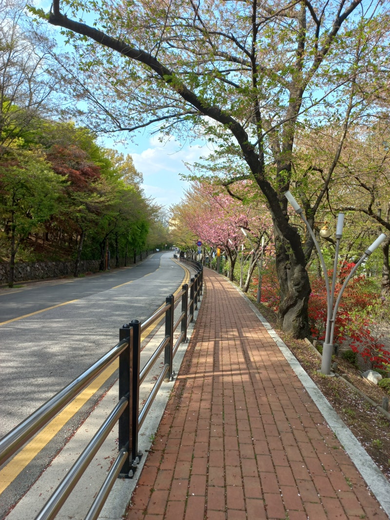 다발골수종 6차 항암 사이클 시작