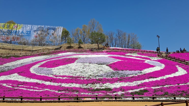 산청 꽃잔디 동산 생초국제조각공원 4월 축제 일정