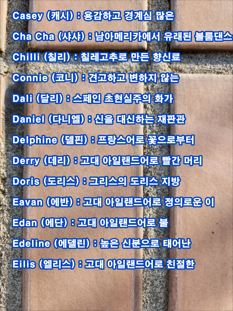 예쁜 영어 닉네임 추천 127개를 뜻과 함께 소개합니다. : 네이버 블로그