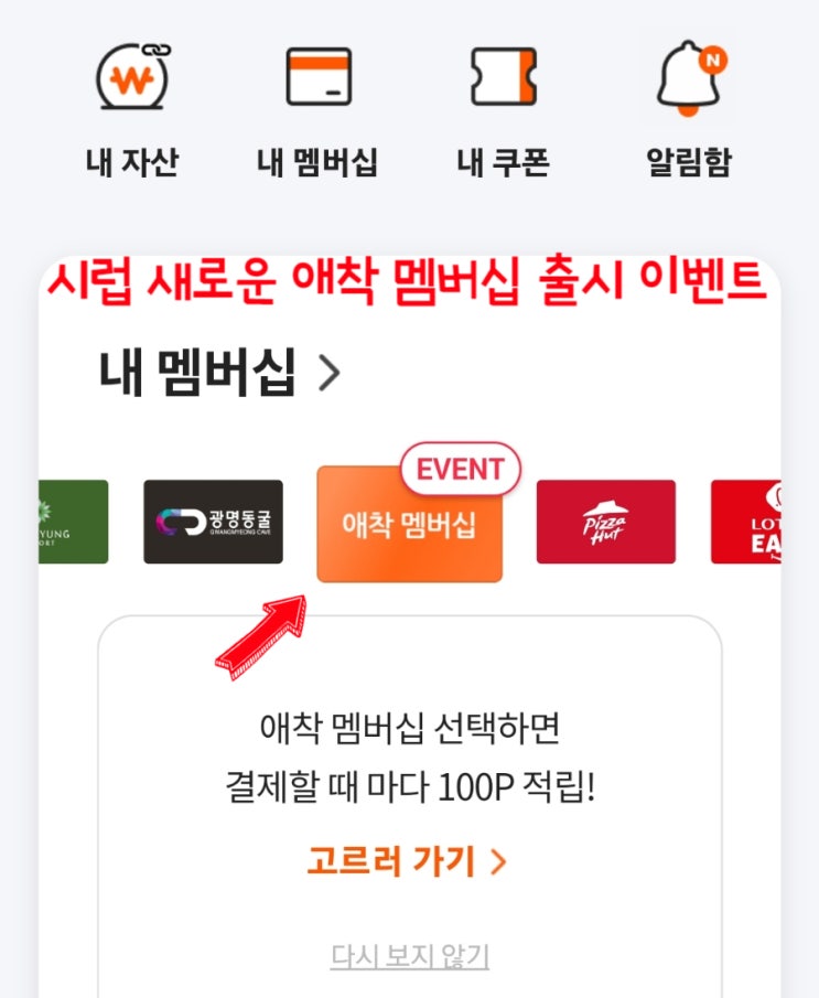 Syrup 시럽 애착 멤버십 서비스 이벤트 Syrup 시럽 애착 멤버십 서비스 이벤트