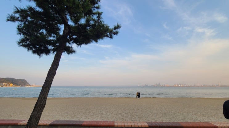 23년 4월 둘째주 주간일기 23년 4월 둘째주 주간일기