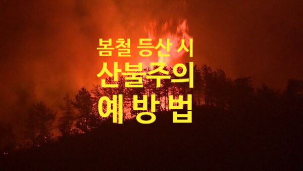  봄철 등산 시 산불에 주의하세요!(원인, 예방법)