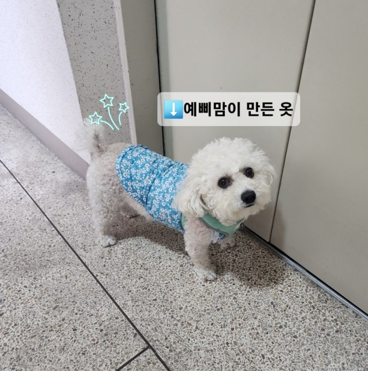  [미싱/취미] 예삐맘에겐 포기란 없다! 조금 구색이 갖춰진 강아지옷!