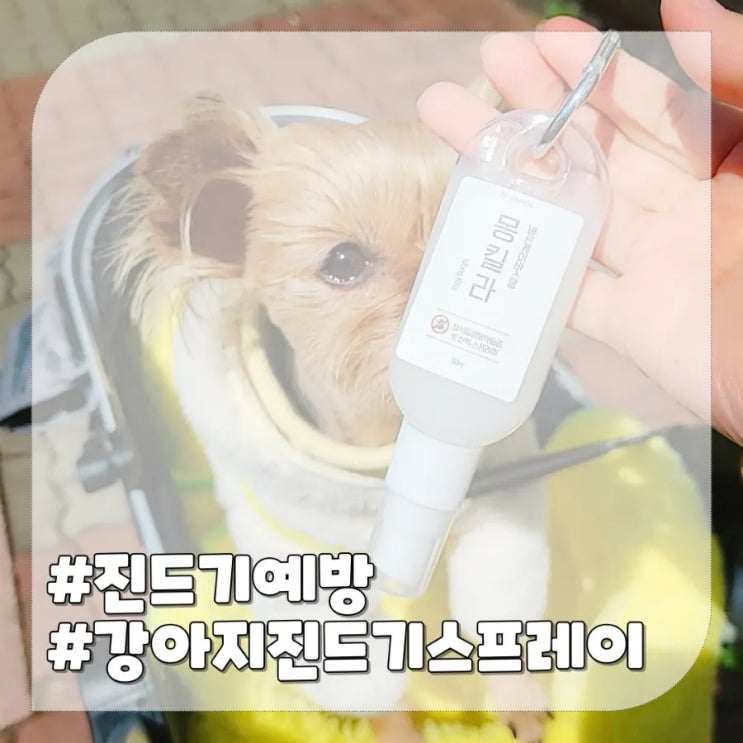  강아지 진드기 퇴치제 모기 예방 스프레이 몽킬라