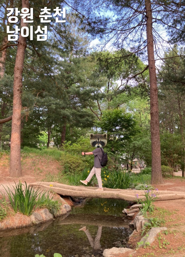  서울 근교 당일치기 여행 추천 남이섬 가는법 입장권 할인 꿀팁