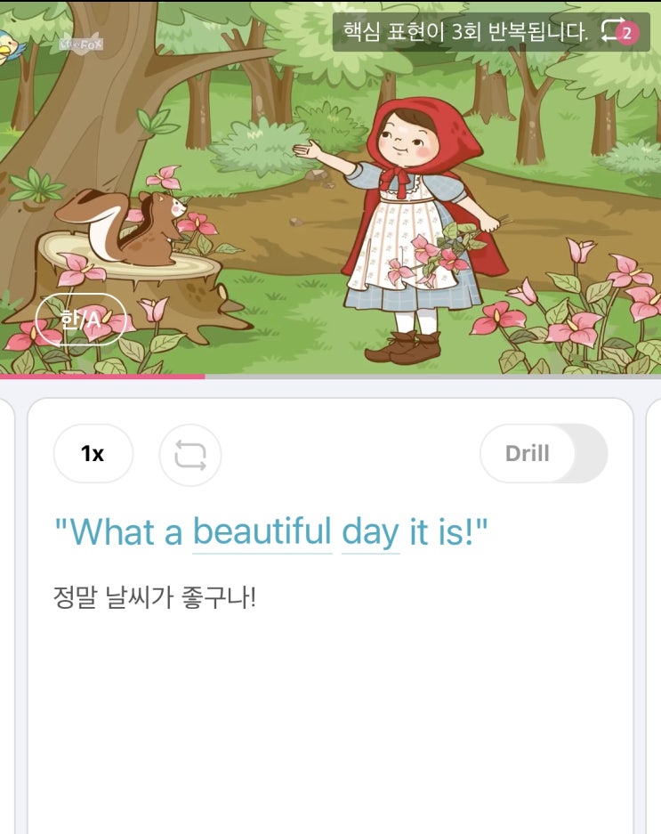  [영어표현 4] 정말 날씨가 좋구나! _ 성인기초영어 영어공부
