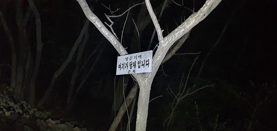오소 사진 6