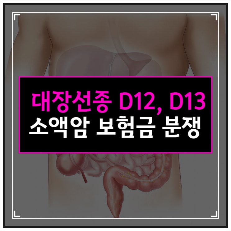 대장선종 D12, D13 소액암 보험금 분쟁