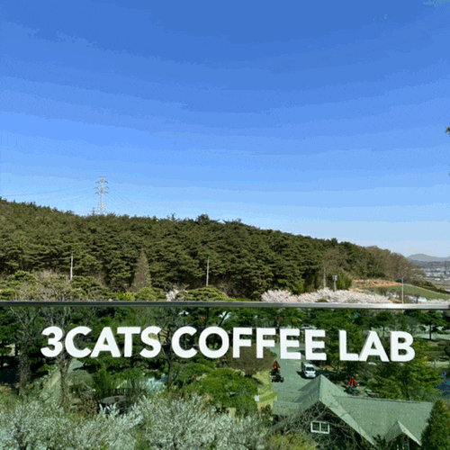  [3CATS] 서산 성연 베이커리 브런치카페 추천-다울관광농원 3CATS COFFEE LAB