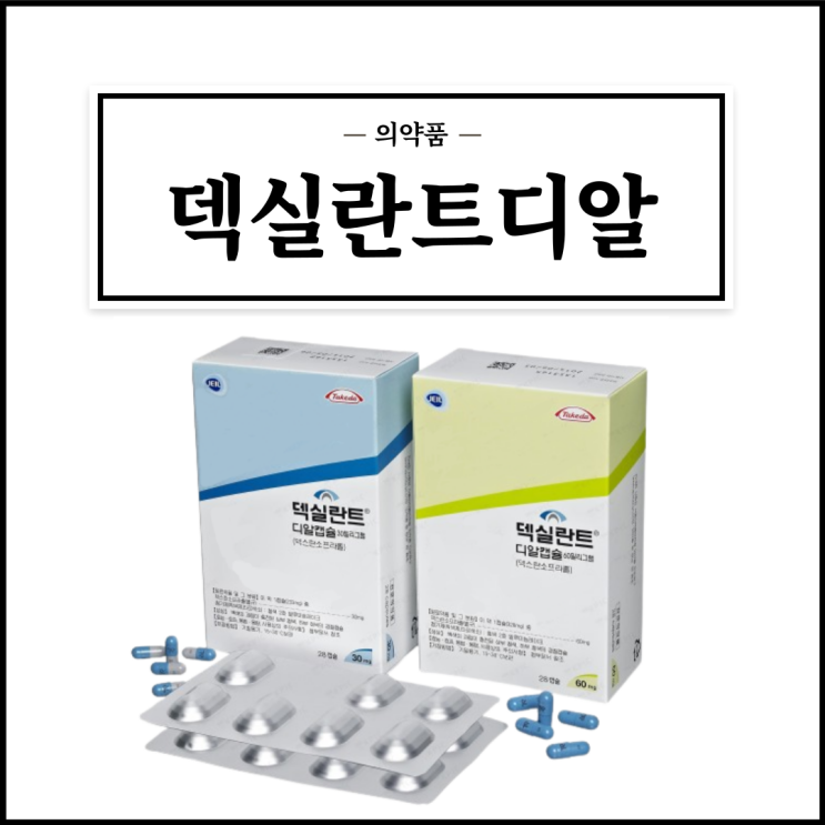  덱실란트디알캡슐 30mg / 60mg, 효능효과/복용법/부작용/주의사항 등 간단정리