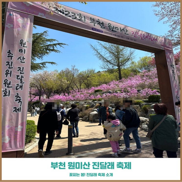  원미산 진달래꽃축제 부천봄에 부모님과 가볼만한곳 추천
