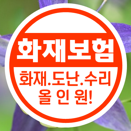  가전제품 보험 가격 얼마인지 주택종합보험 추천 상품들을 비교해 보세요.