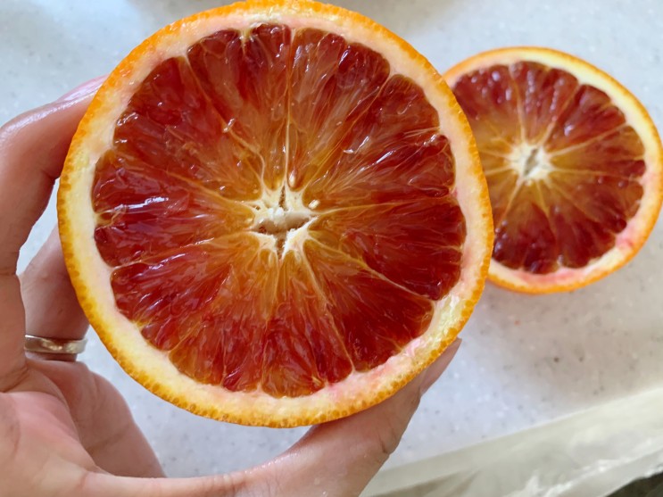제주과일 제주산지직송 우리농장 블러드오렌지 안토시아닌과 비타민 함량이 높은 과일! 자몽과 닮은 붉은 단면 상큼한맛이 일품이네요!