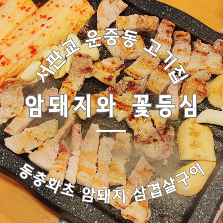  서판교 운중동 삼겹살 맛집 암돼지와 꽃등심