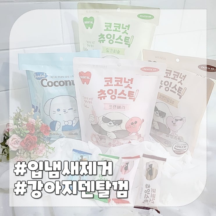  2,3개월 강아지 노견간식으로 좋은 입냄새 제거 개껌