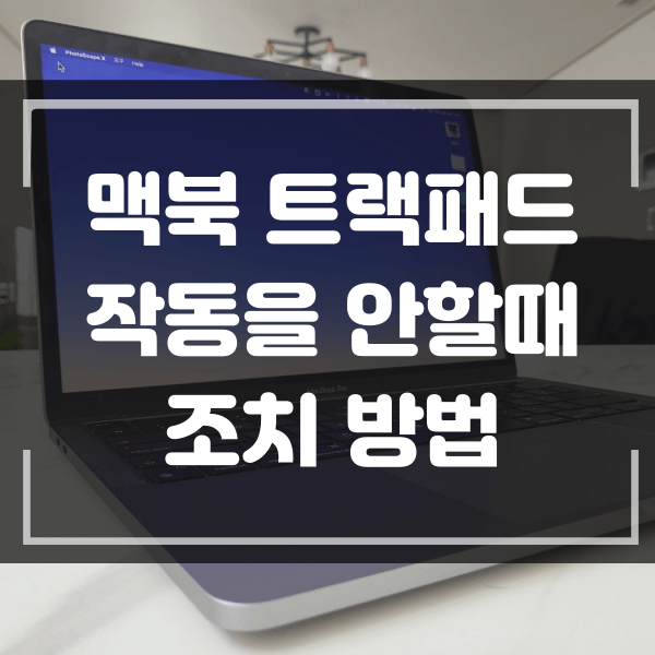 맥북 트랙패드가 동작을 안할 때 조치 방법