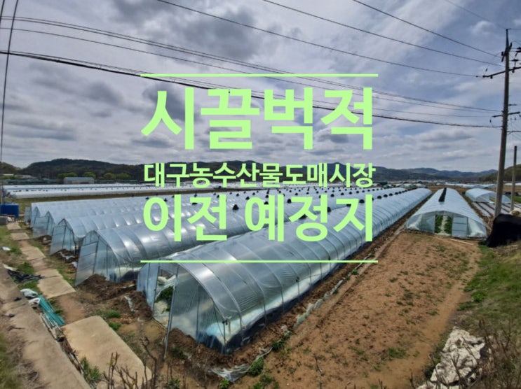  조용하던 마을이  시끌벅적...대구농수산물도매시장 이전 예정지