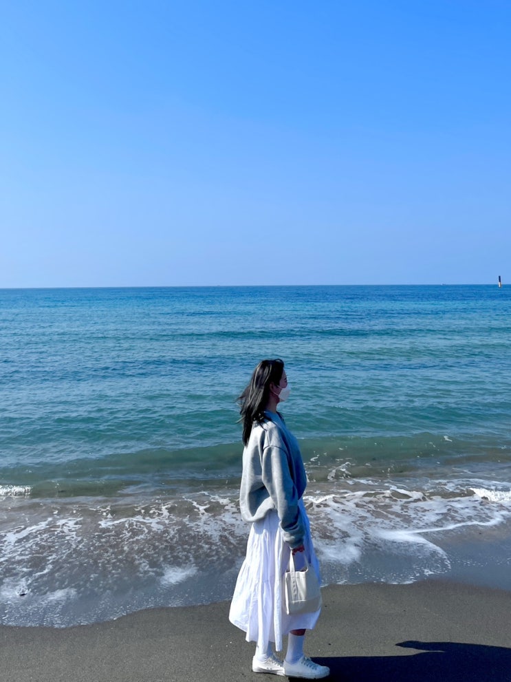  여자 혼자 제주도 2박 3일 :: 마지막 3일차 (아르떼뮤지엄, 안녕협재씨, 이호테우해수욕장 등등••)