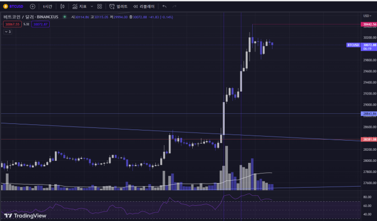  4월 11일 비트코인 30k 상승원인 분석