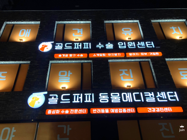 노원구 강아지 고양이 유치발치 전문 병원에서 부담없이 반려동물 치아관리 했어요