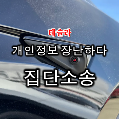  테슬라 개인정보 스캔들로 집당소송 당하다 (feat. 대쉬캠, 센추리모드 카메라)