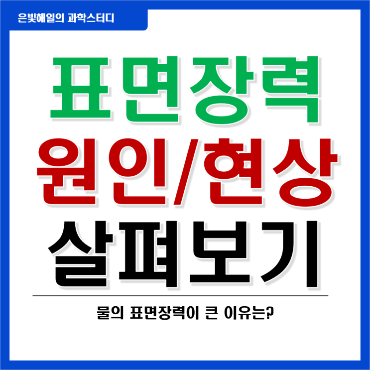  표면장력과 물