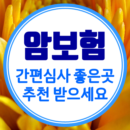  간편암보험 비교 60대 70대 유병력자암보험 간편심사 좋은 곳으로 추천 받으세요.