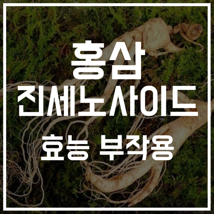  홍삼액 진세노사이드 효과