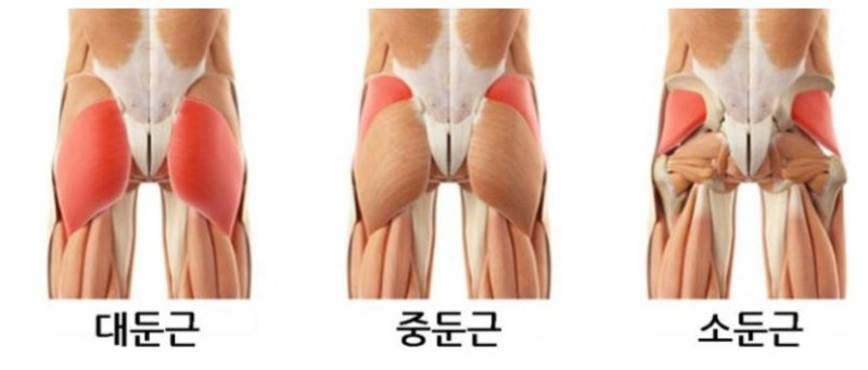 이너멜 이미지